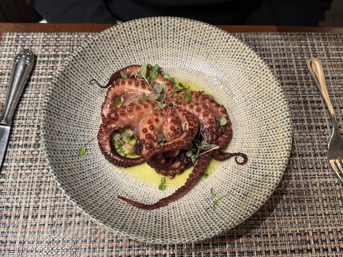 Grilled octopus